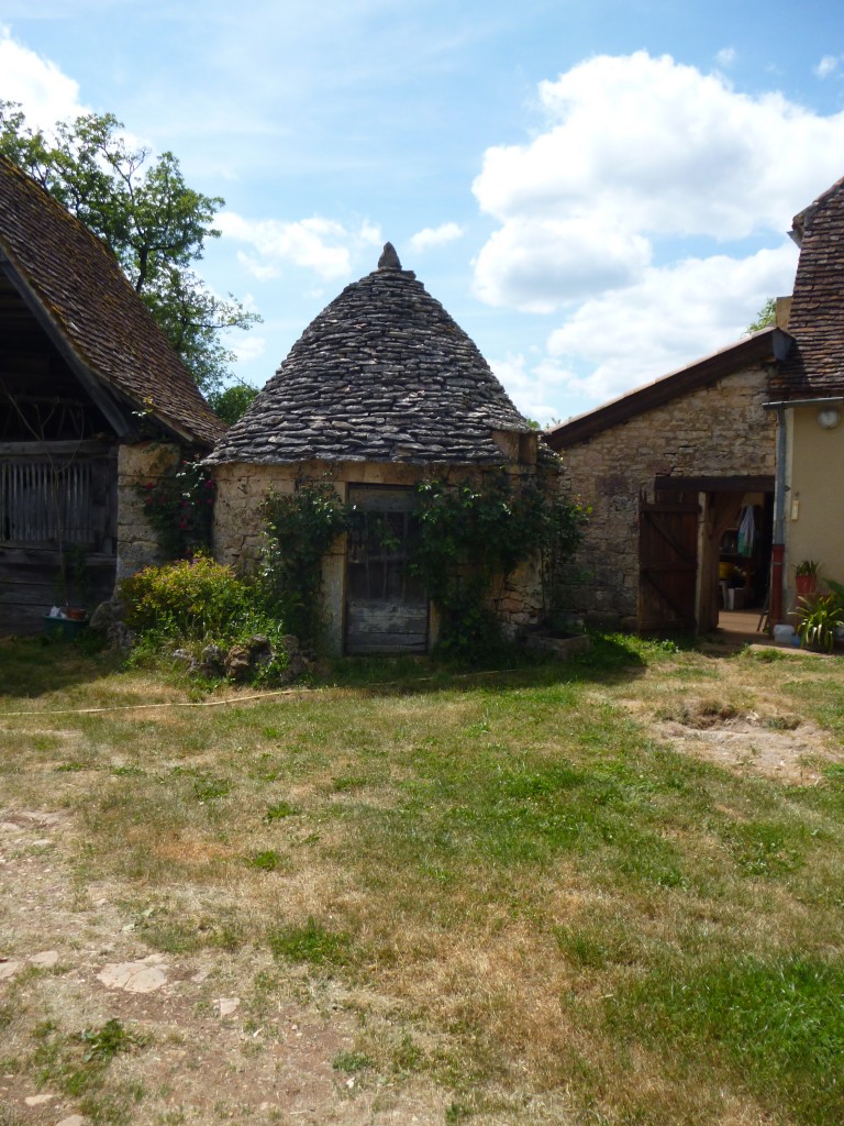 Gariotte dans une cour de ferme